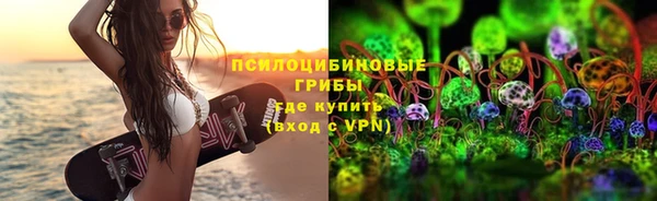 прущие крисы Медвежьегорск