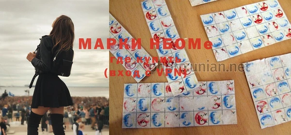 сатива Михайловск