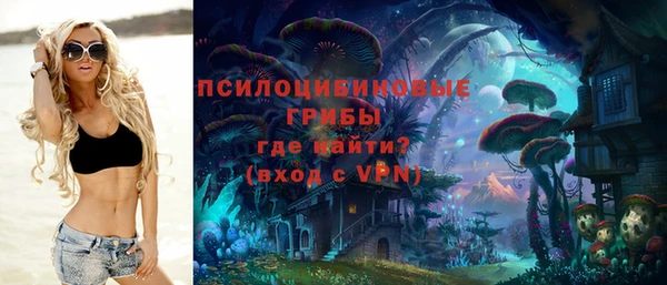 сатива Михайловск