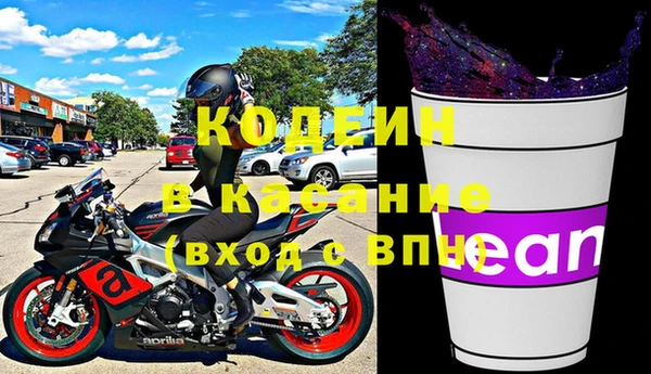 прущие грибы Медногорск