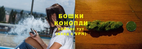 сатива Михайловск