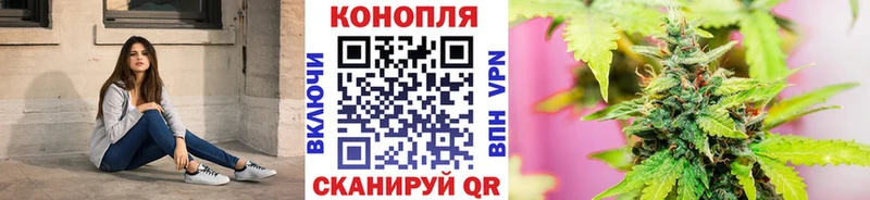 darknet наркотические препараты Нытва Бошки марихуана сатива